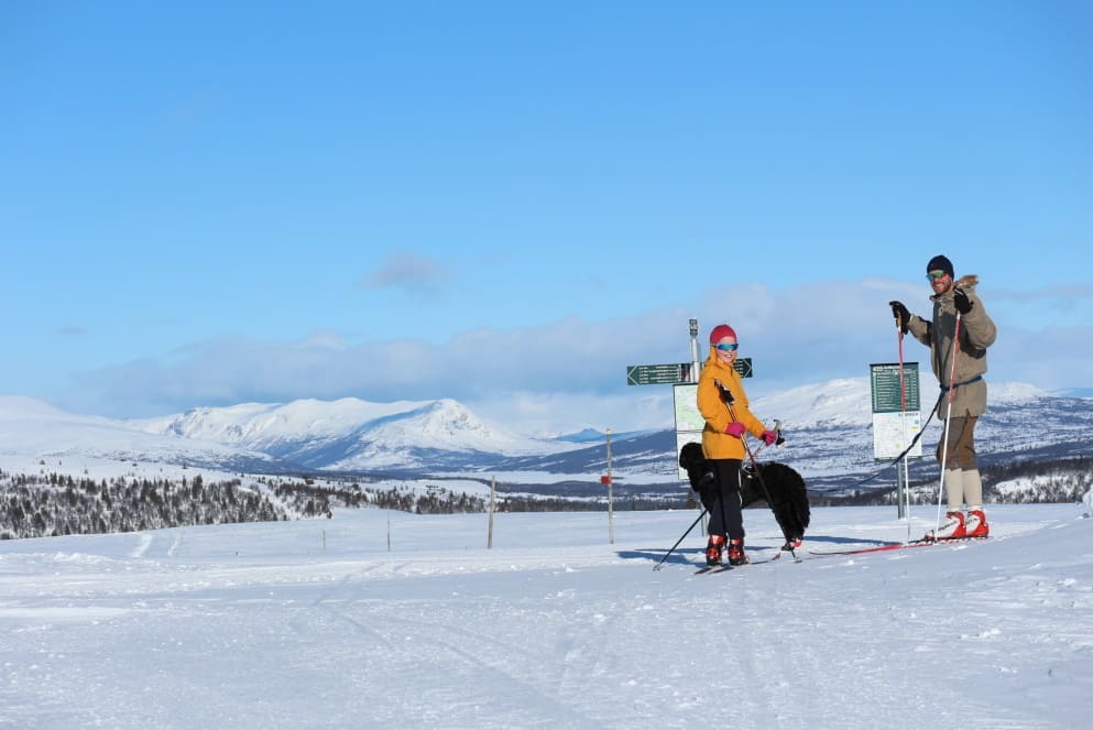 Langrenn på Golsfjellet. Foto: Nina Lessner.