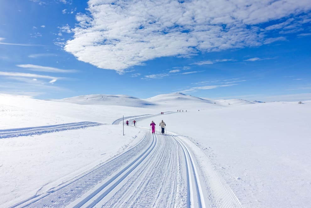 Ski langrenn. Foto: Solveig Hjallen.